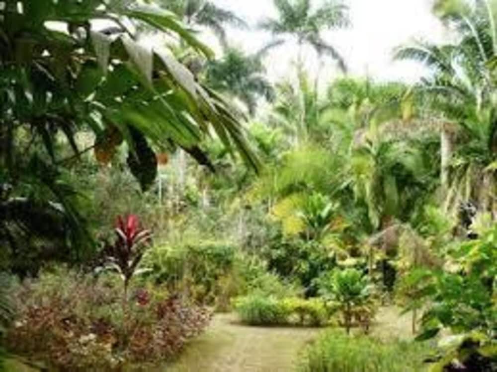 Bamboo - Sleeps 6 - Garden - Parking view 4
