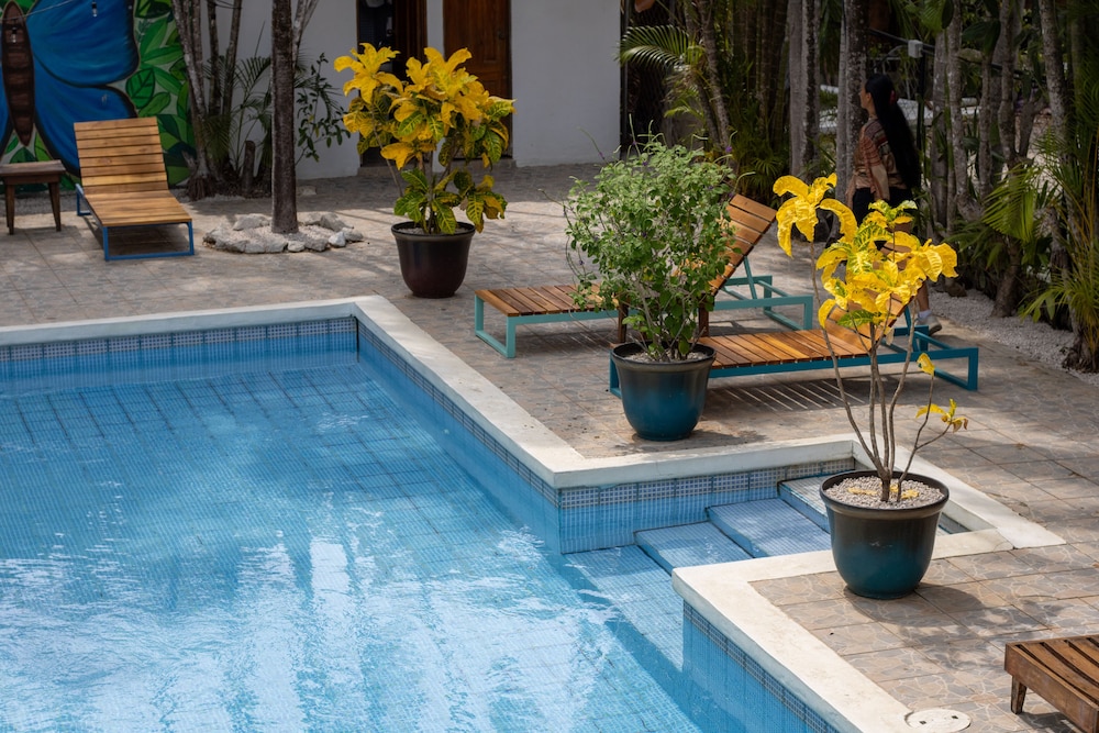 Guanacaste - Costa Rica Vacations - Pension Playa Samara - Property Image 3