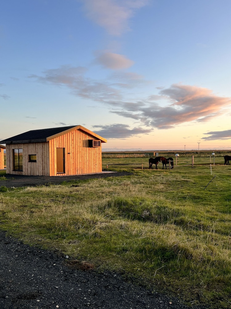 Sleeping with the Horses