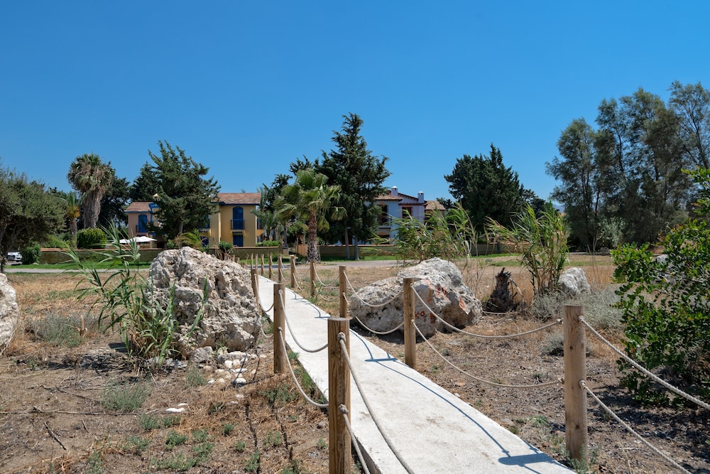 Photo 28