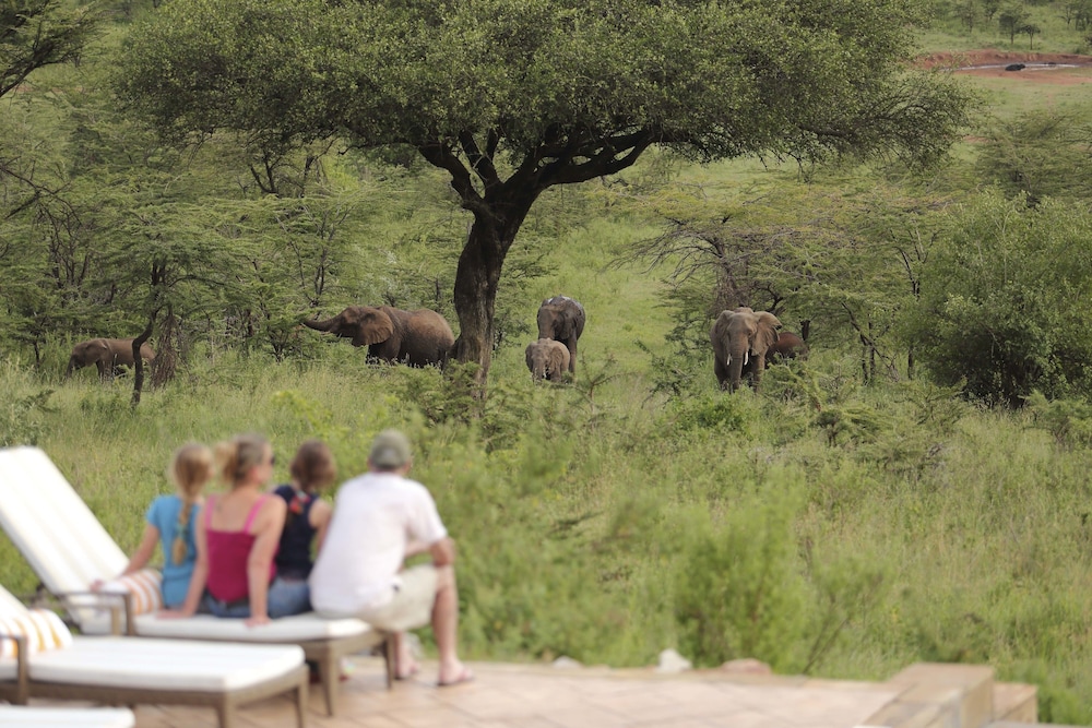 Spirit Of The Masai Mara
