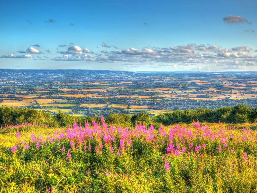 The Linhay