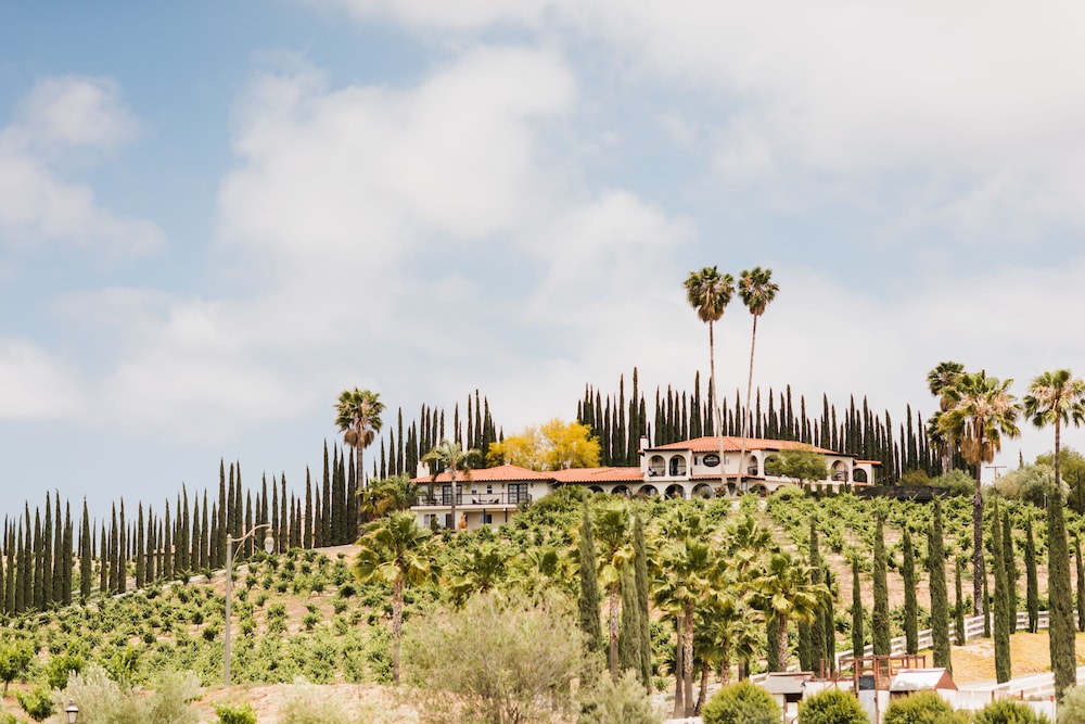 Europa Village Wineries and Resort