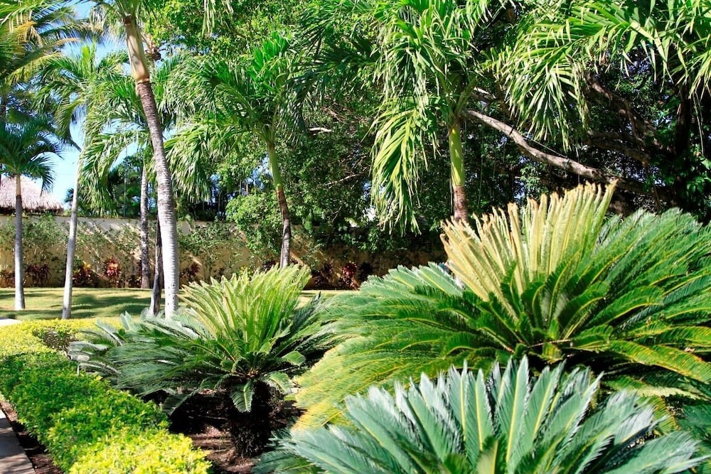 Garden Condos