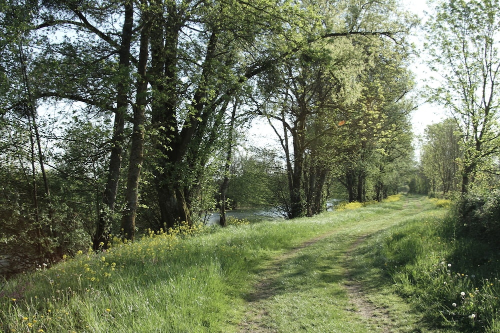 Photo 49