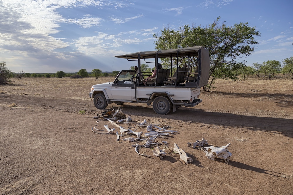 Hobatere Lodge