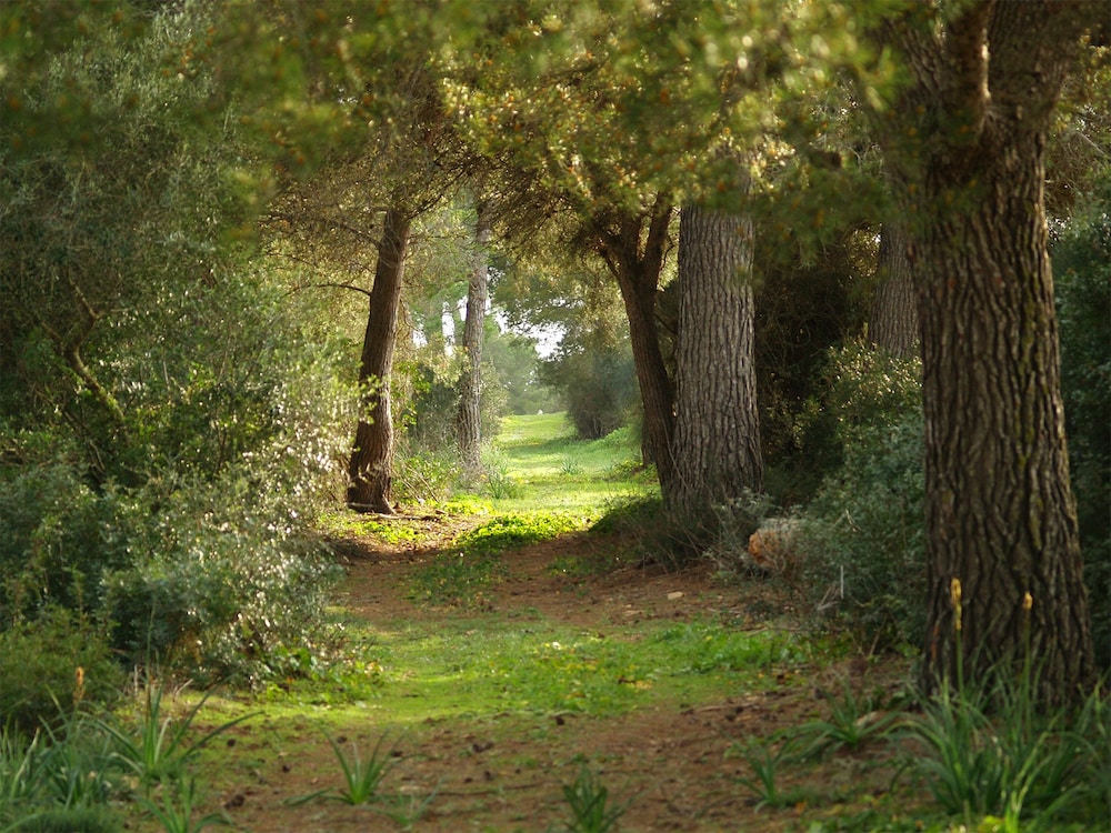 Agroturismo Ses Arenes
