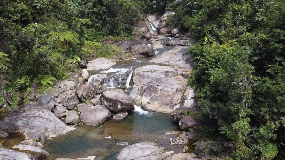 Photo 29