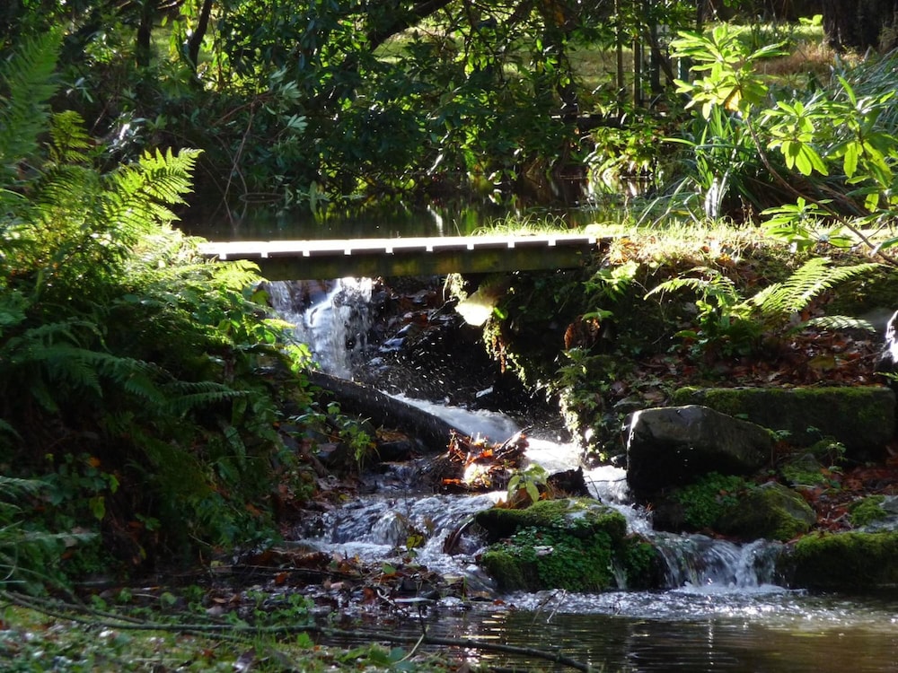 Photo 49