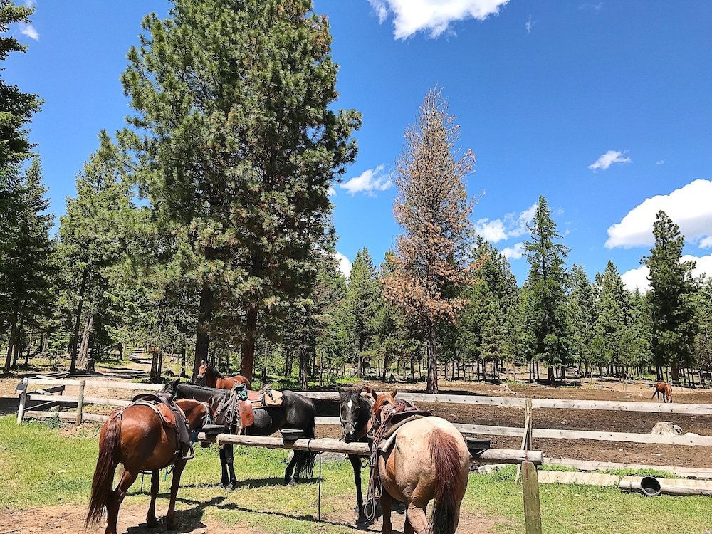 Dream Haven Guest Ranch