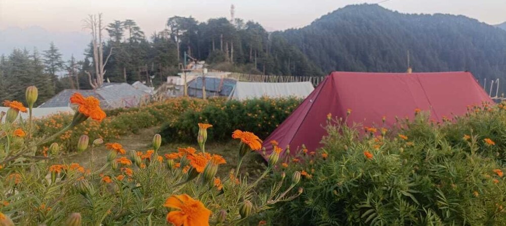DhaulaPir Adventure
