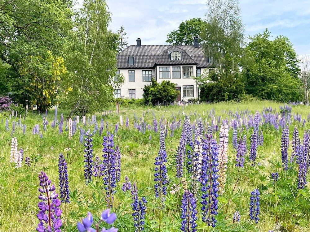 4 Star Holiday Home in Olofstrom view 4
