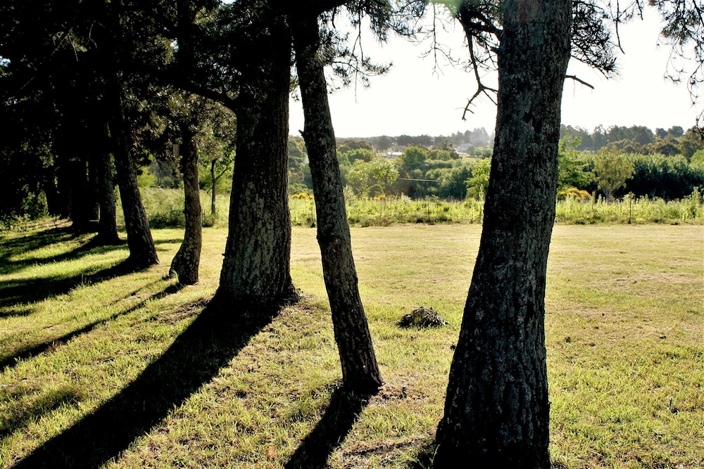 Ruca Haian. Cabañas Spa & Restó. Tandil