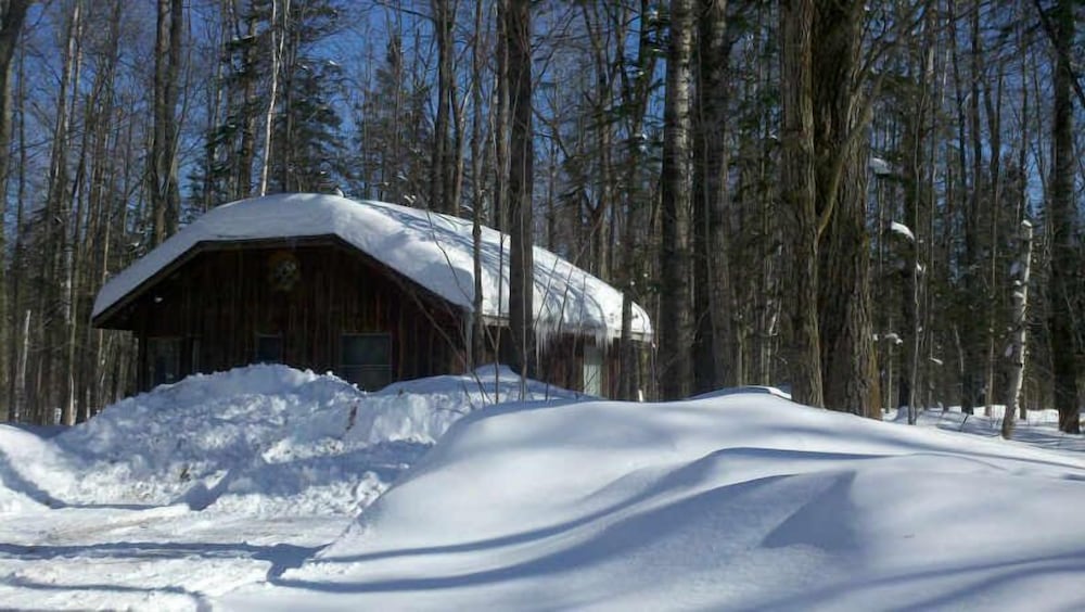 Shire In The Woods