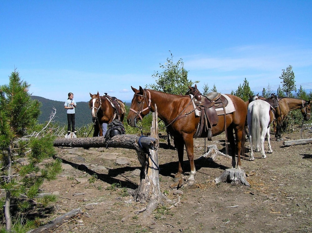 Ten-ee-ah Lodge & Campground