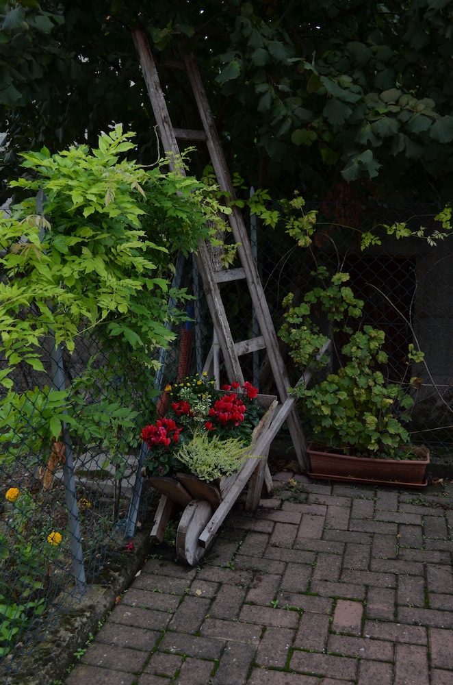 Photo 36