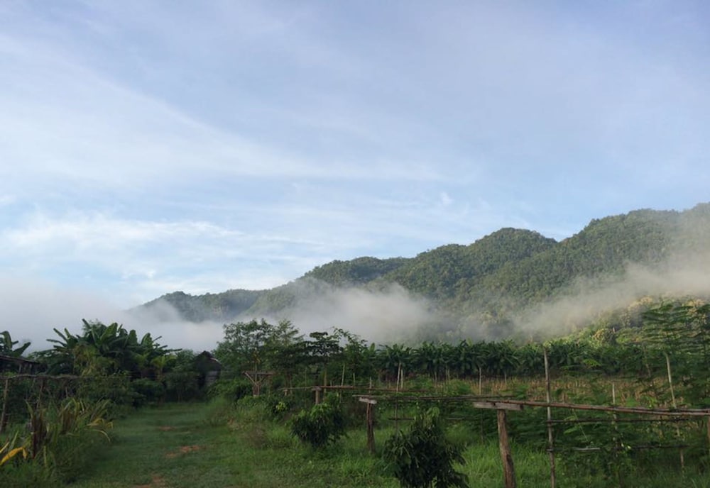Konkubdin Homestay