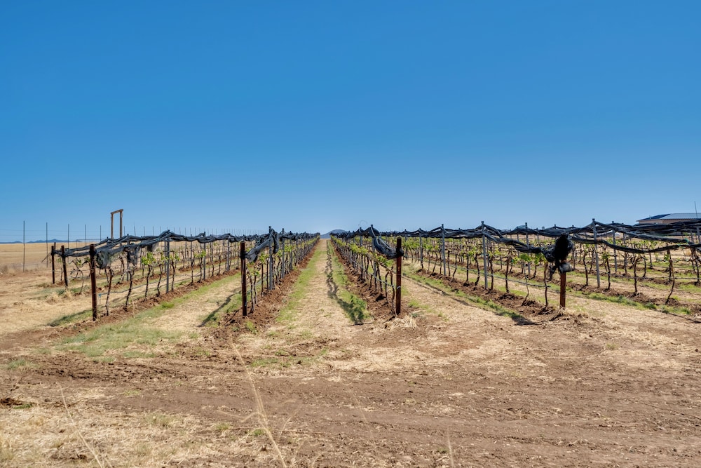 Walk to Wineries: Elgin Wine Country Retreat!
