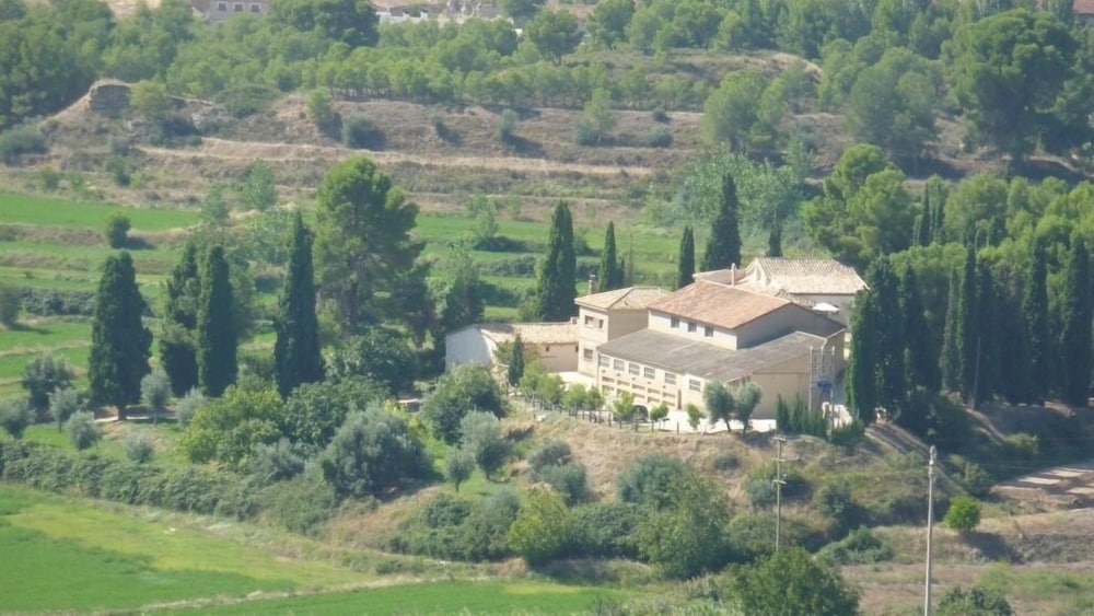 Photo 8