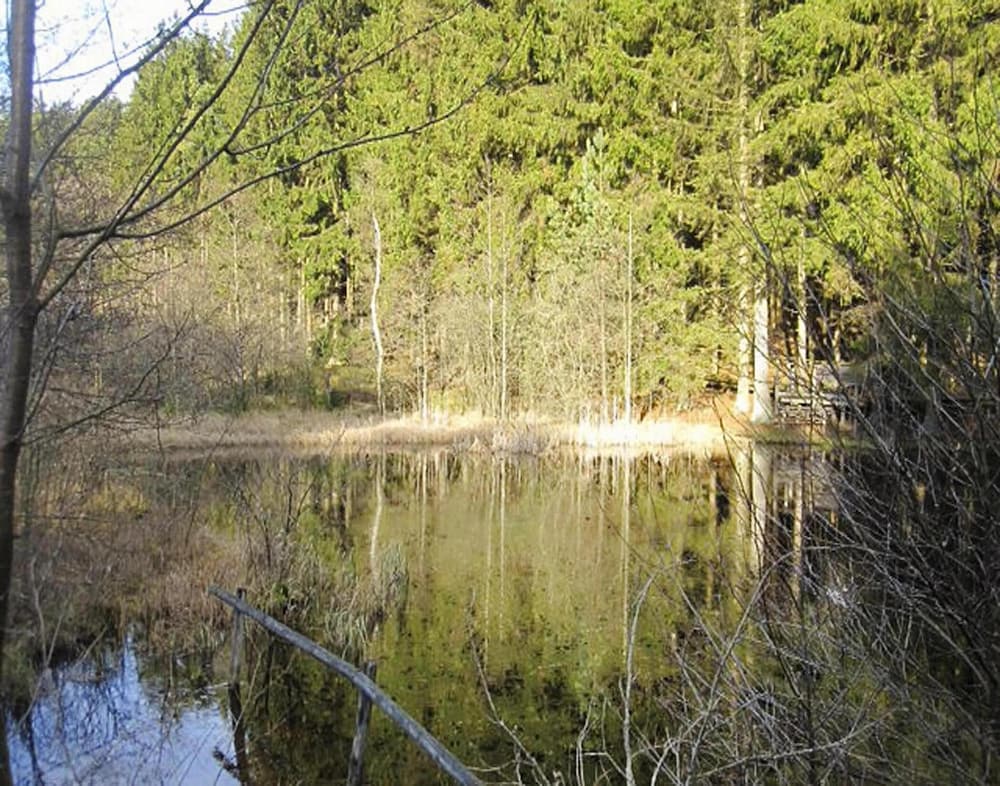 Apartment in Eifel Near Hiking Trails