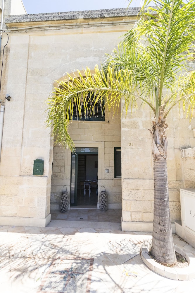 B&B Tarantola
