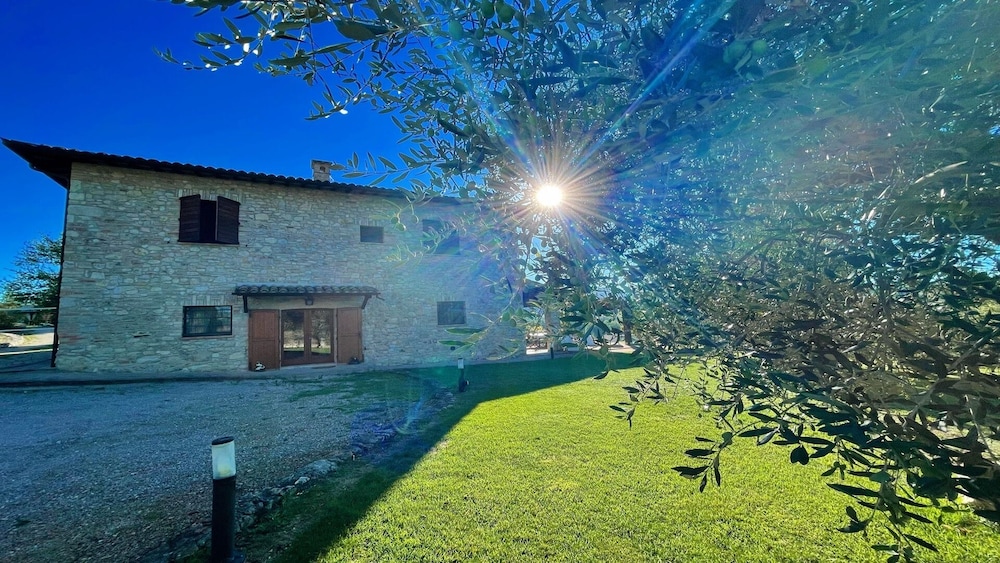 Photo 23