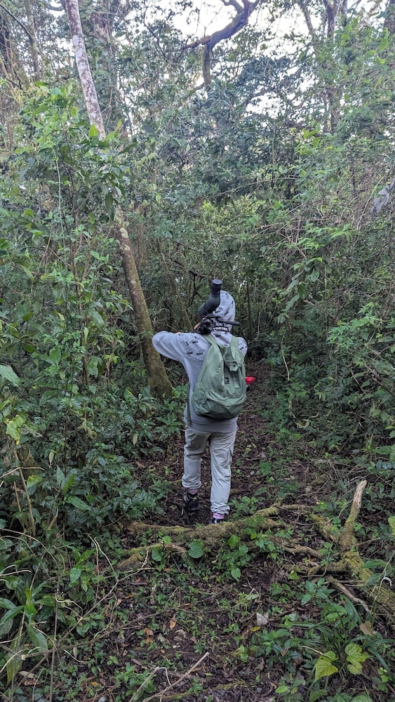 Campos de Oro Wilderness Lodge