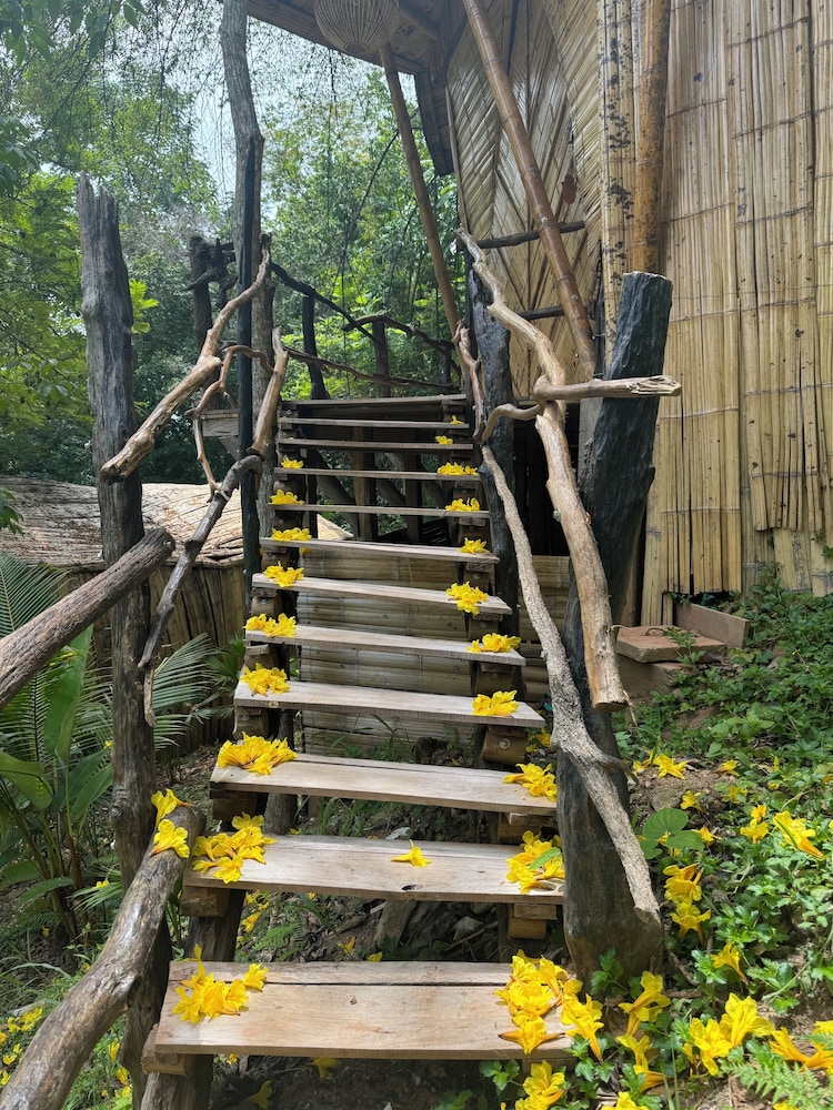 Akasha suites