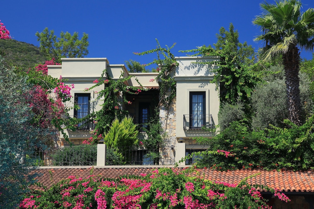 Hotel Zeytinada - Image 1