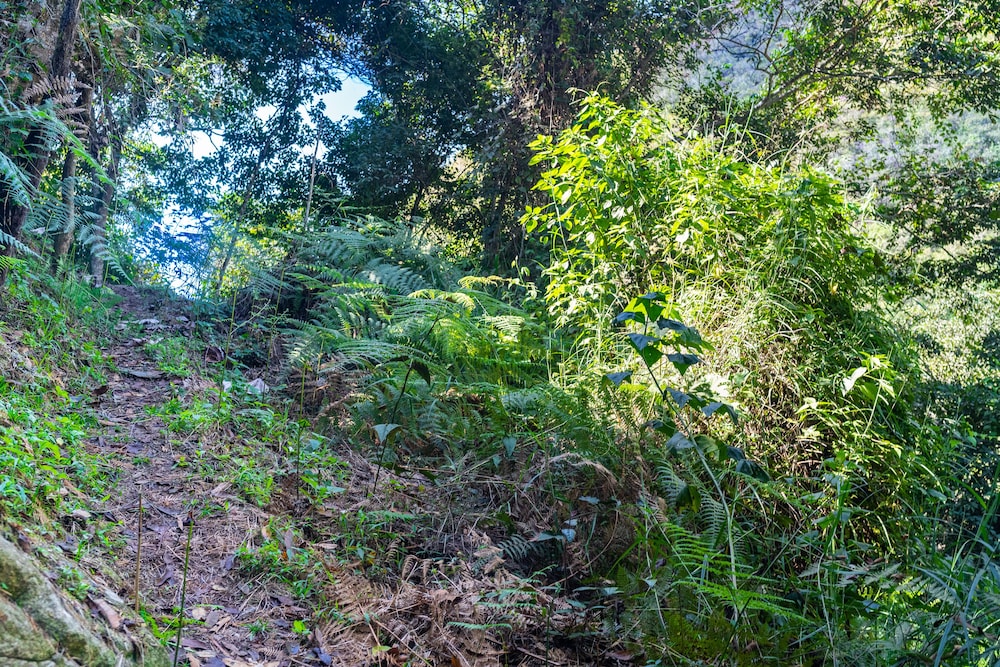 Casa de campo Los Yungas