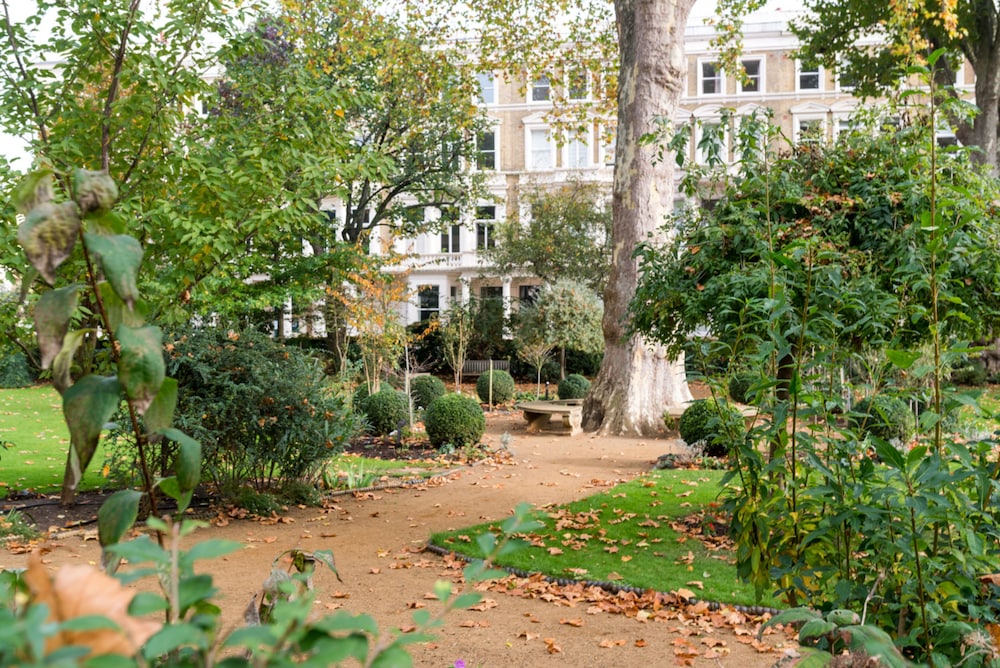 garden