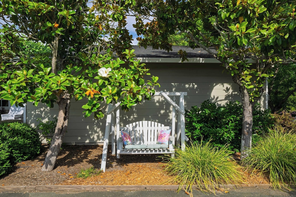 Glen Ellen Escape 5BR Retreat w/ Pool, Hot Tub, Hammocks & Vineyard Views