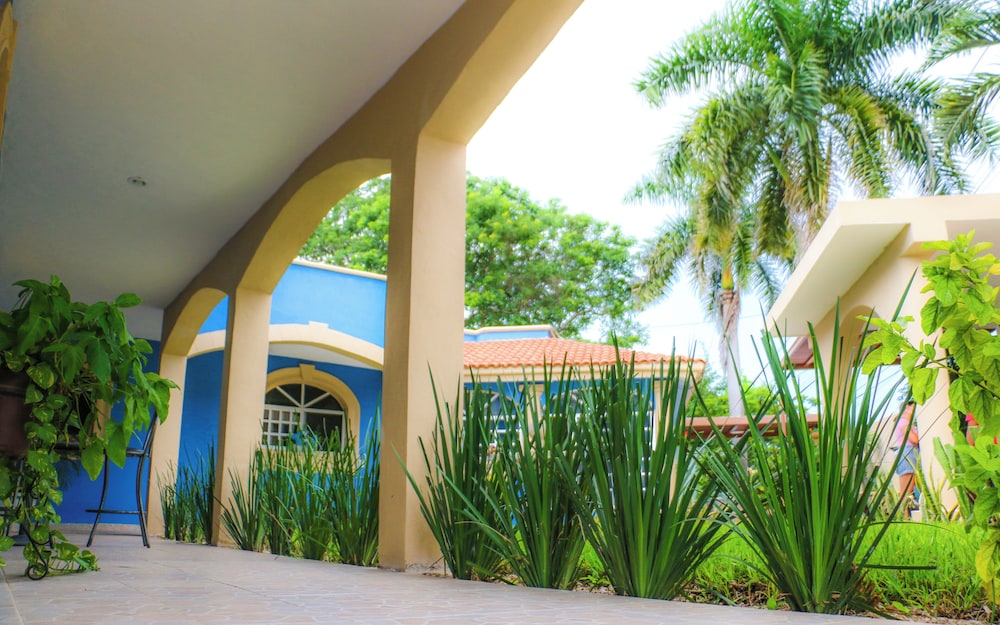 Room in Apartment - Cozy Mérida Retreat With Pool & Garden View