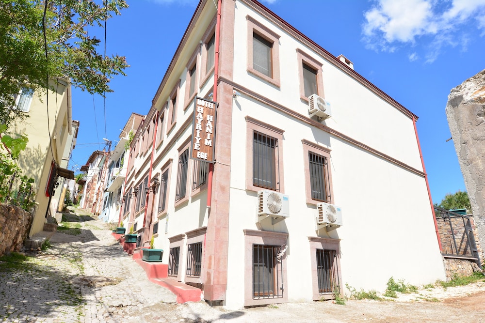 Hayriye Hanim Ege - Image 32