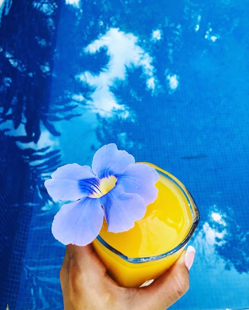 Hotel Colibri