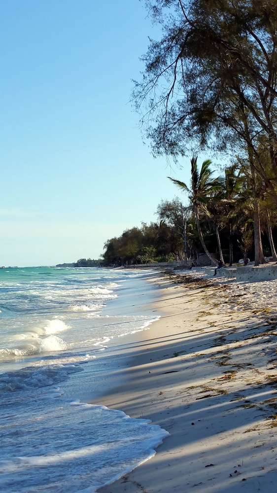 Jamboland-Diani