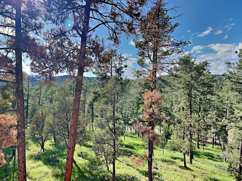 Sierra Silver by Ruidoso Vacation Rentals