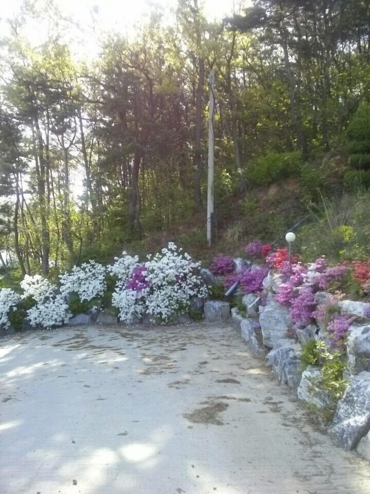 Photo 21