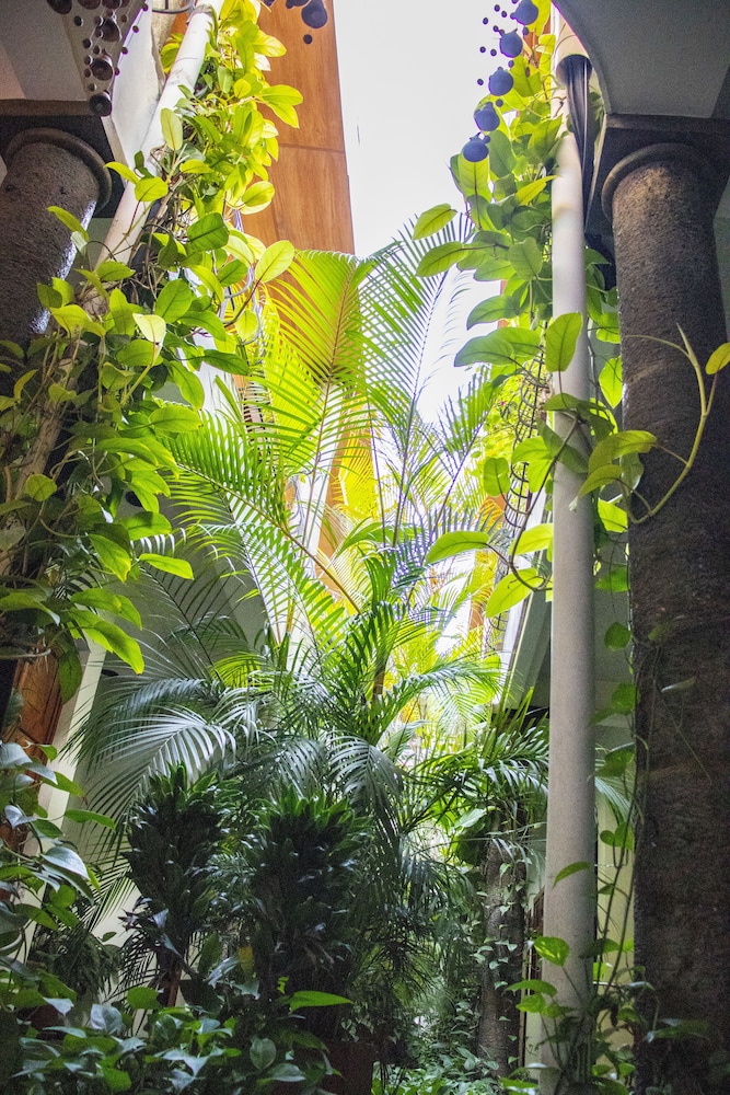 Árbol de Fuego Eco-hotel, a green experience in the city