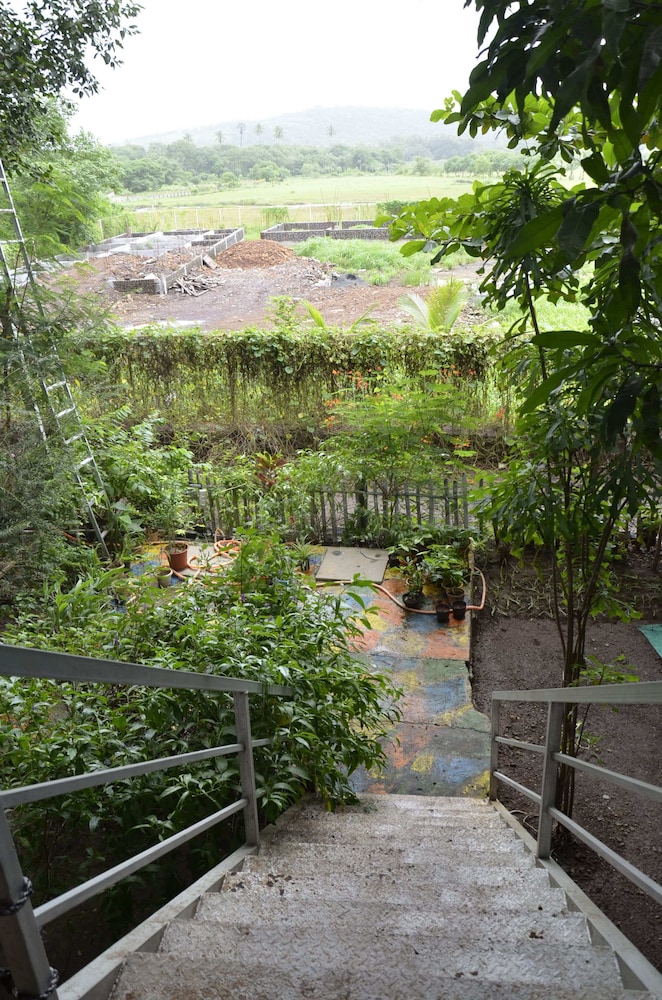 Photo 41
