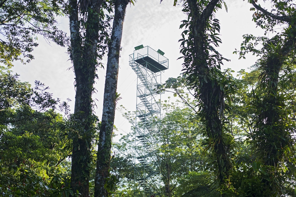 Arenal Observatory Lodge & Trails 128