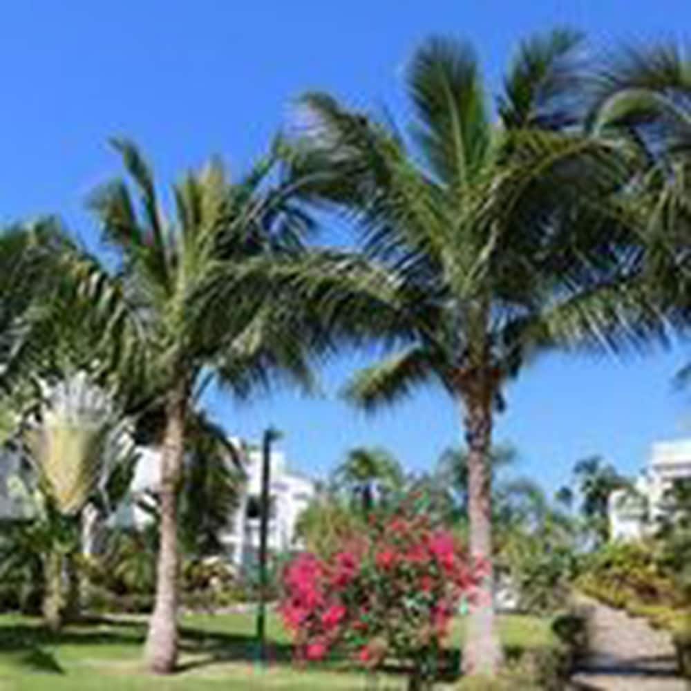 Beachfront Apartment facing Playa Popy