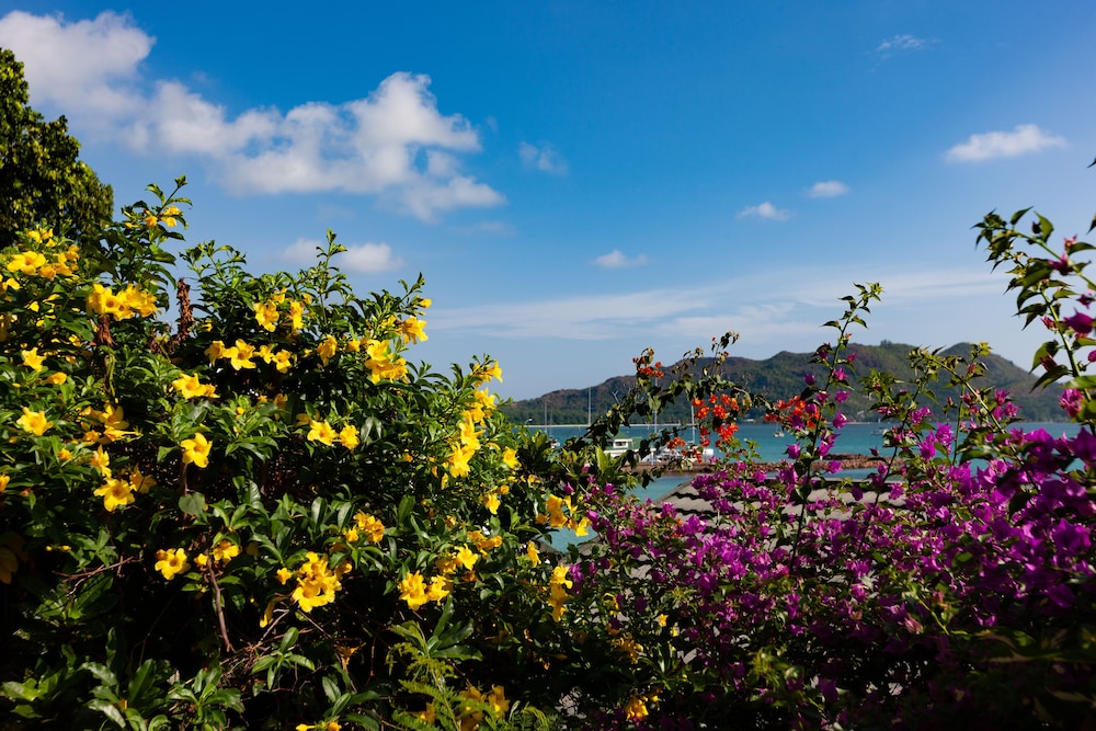 Colibri Guest House