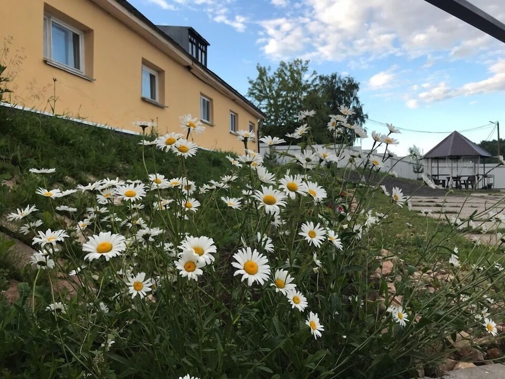 Photo 19