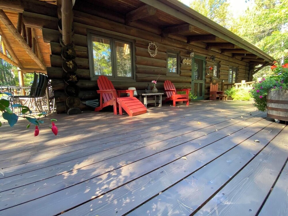 Photo 41