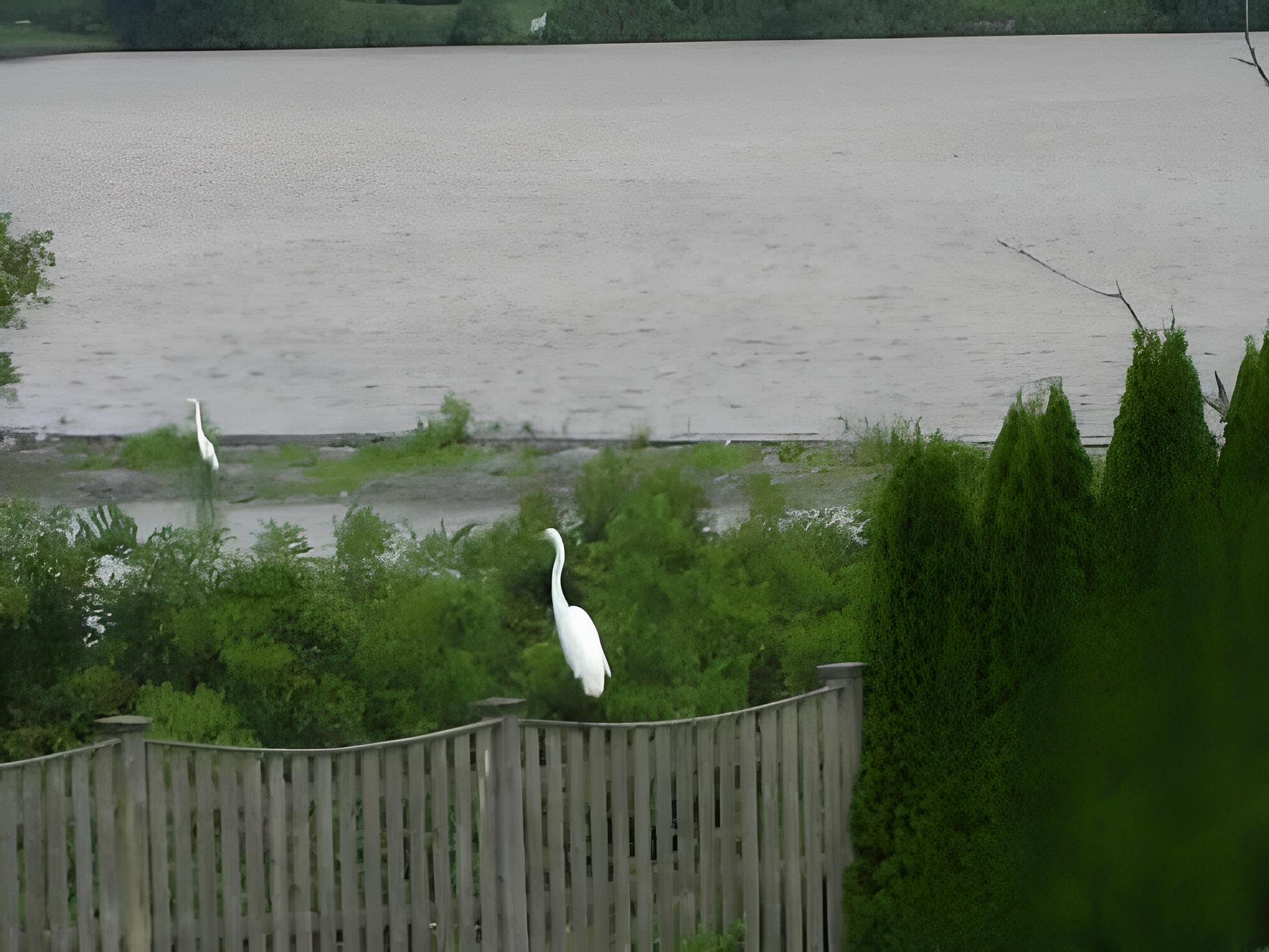 Sea Whale Motel - Property Image 15