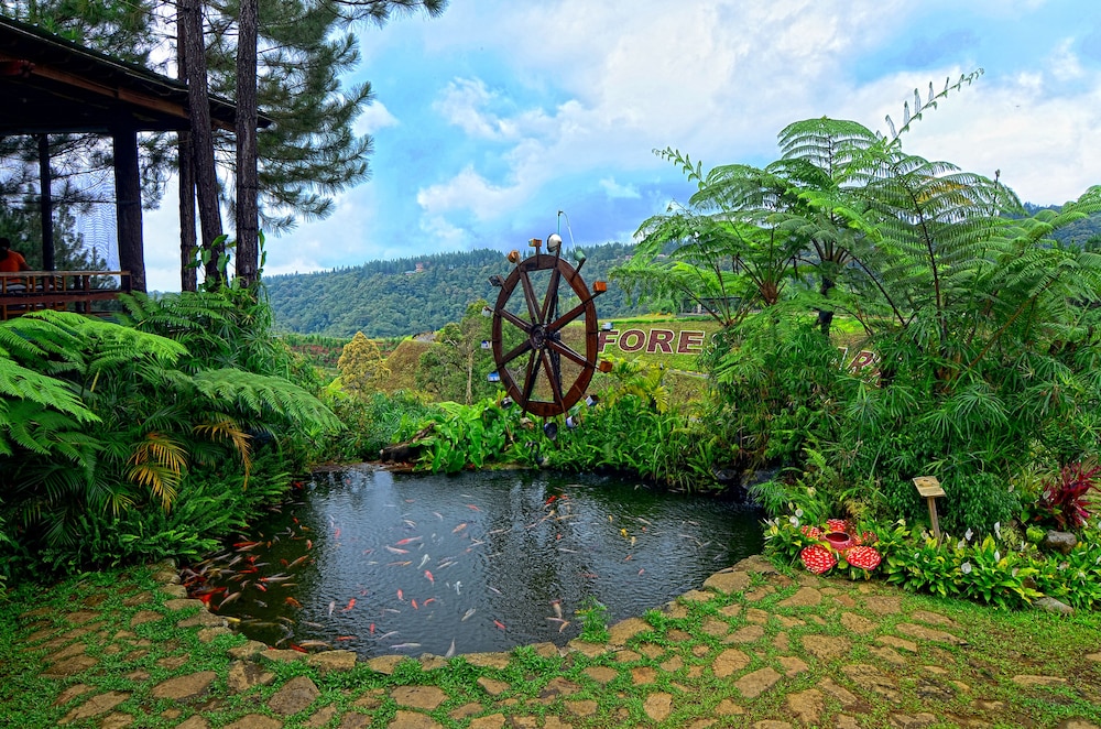 Dahilayan Forest Park Resort