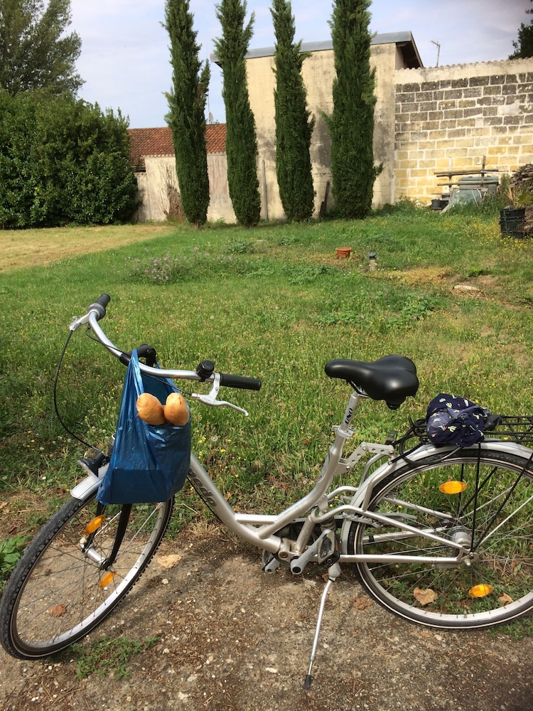 Domaine Mongiron
