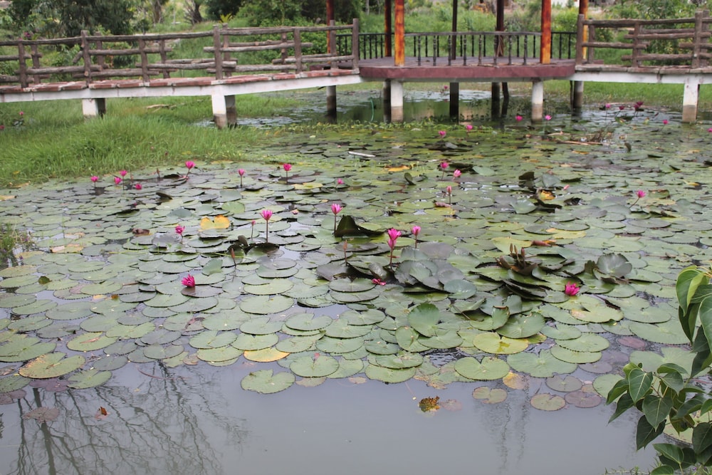 Doi Su Resort