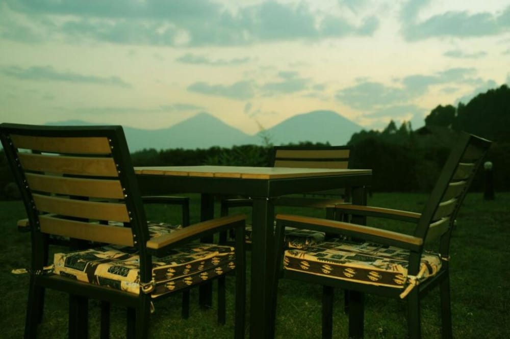 Da Vinci Gorilla Lodge